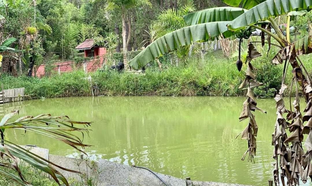 Chacara Recanto Dos Passaros Bairro das Rosas Екстер'єр фото